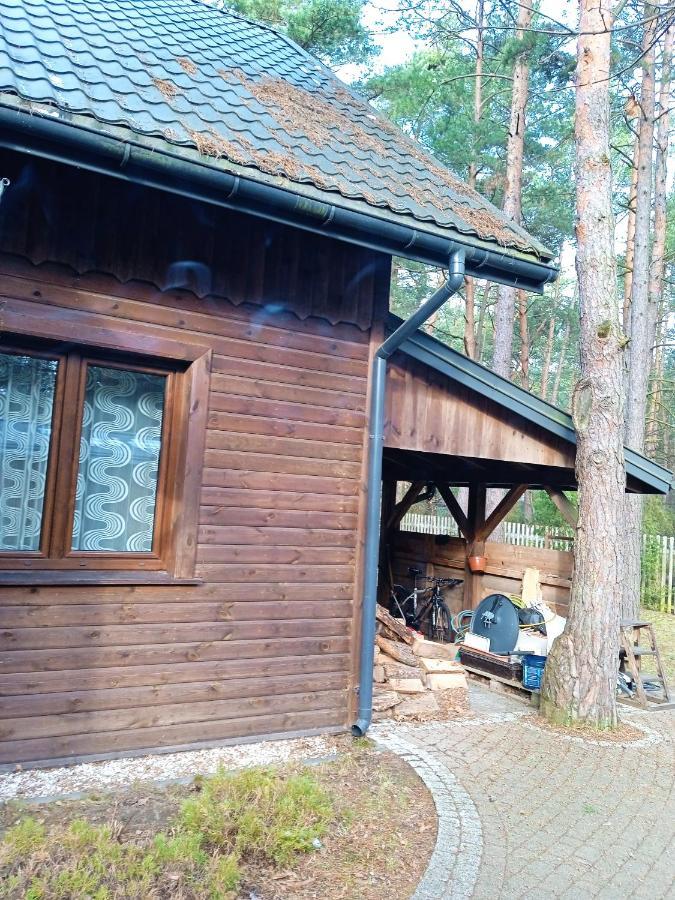 Lesna Ostoja Nad Pilica Villa Lechanice Exterior photo